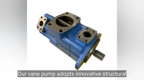 Replacement Hydraulic Vane Pump 25vq Series with High Quality